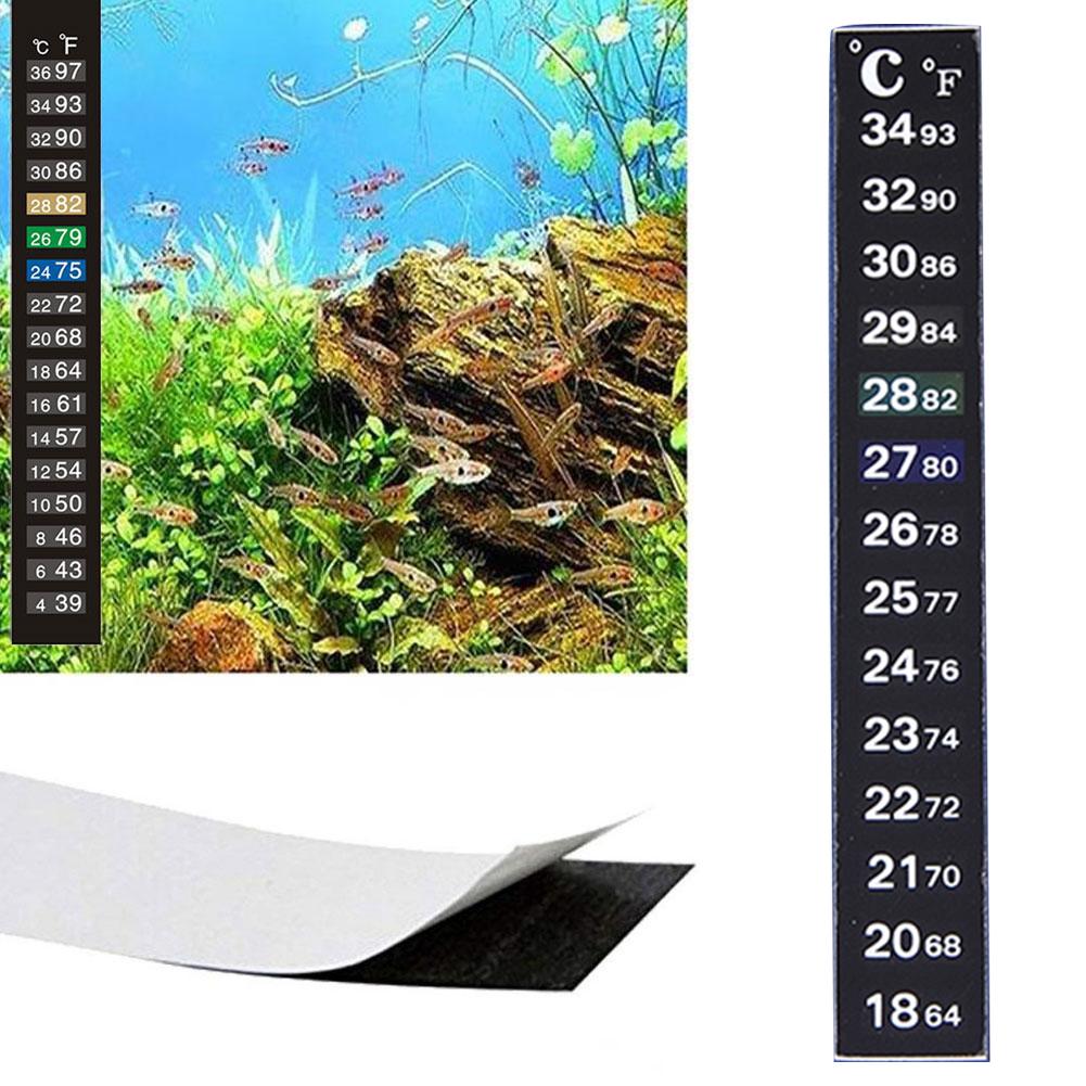 Termometro Digitale Adesivo pe - Temperature Strip Thermometer recensione e prezzo