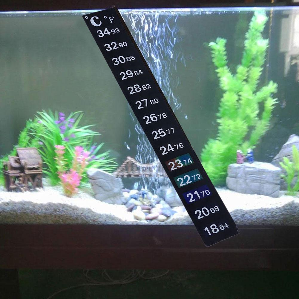 Termometro Digitale Adesivo pe - Temperature Strip Thermometer recensione e prezzo